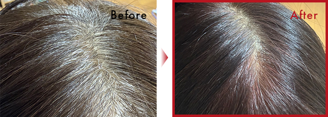 乾いた髪に髪染めのように利用しました。